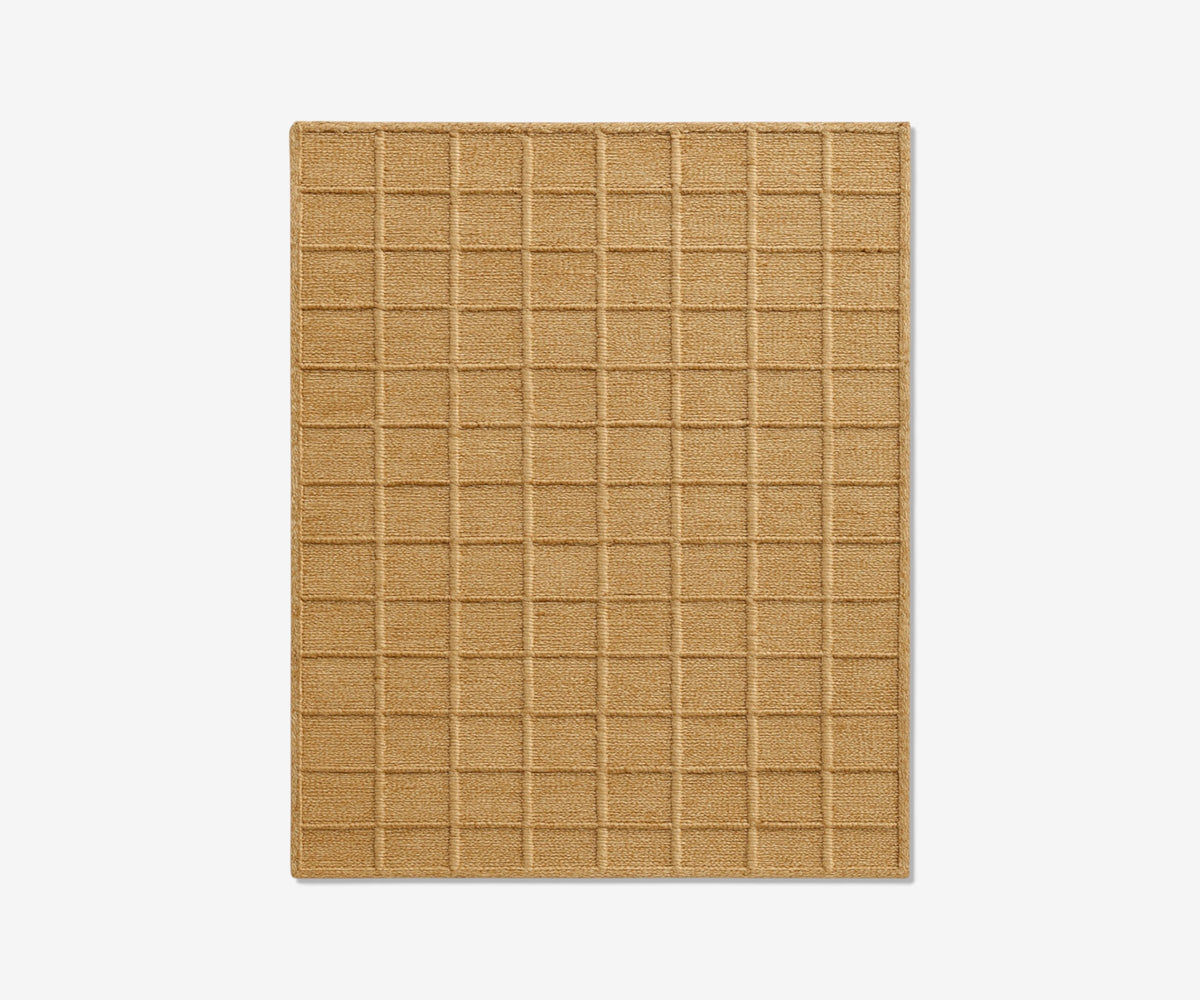 Ledger Rug