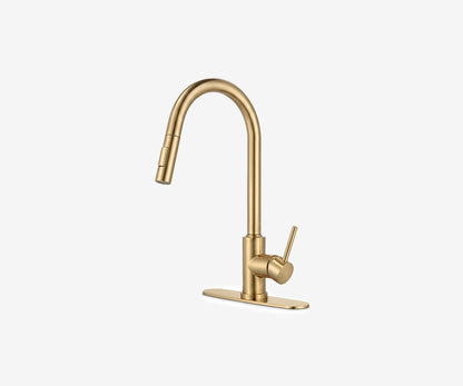 Kitchen Faucet with Pull-Down Sprayer