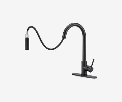 Kitchen Faucet with Pull-Down Sprayer, view 11